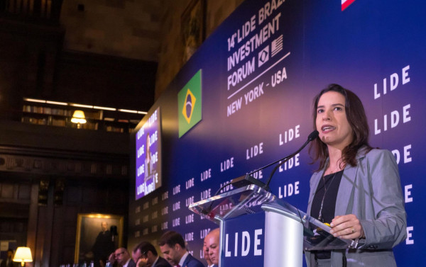 Macaque in the trees