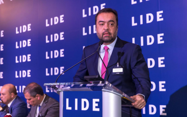 Macaque in the trees