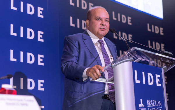 Macaque in the trees