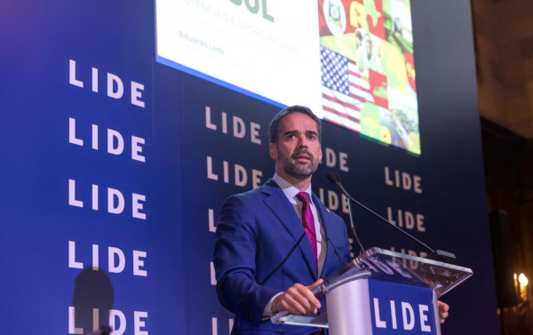 Macaque in the trees