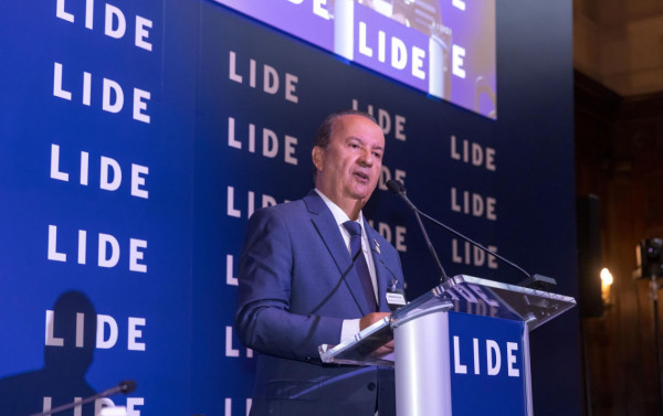 Macaque in the trees