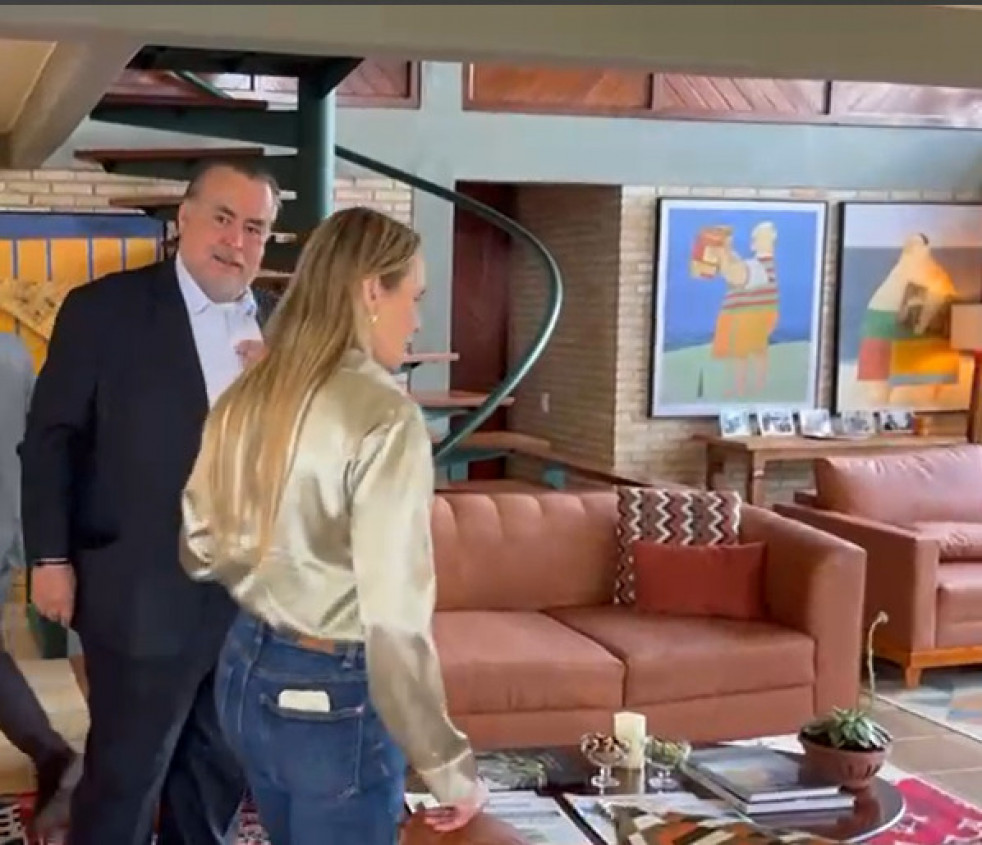 Macaque in the trees