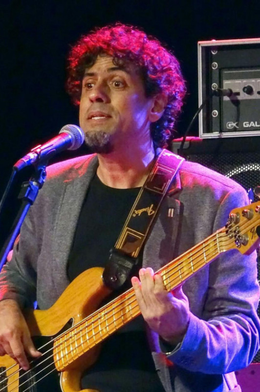 Macaque in the trees