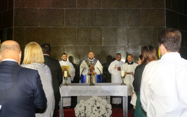 Macaque in the trees