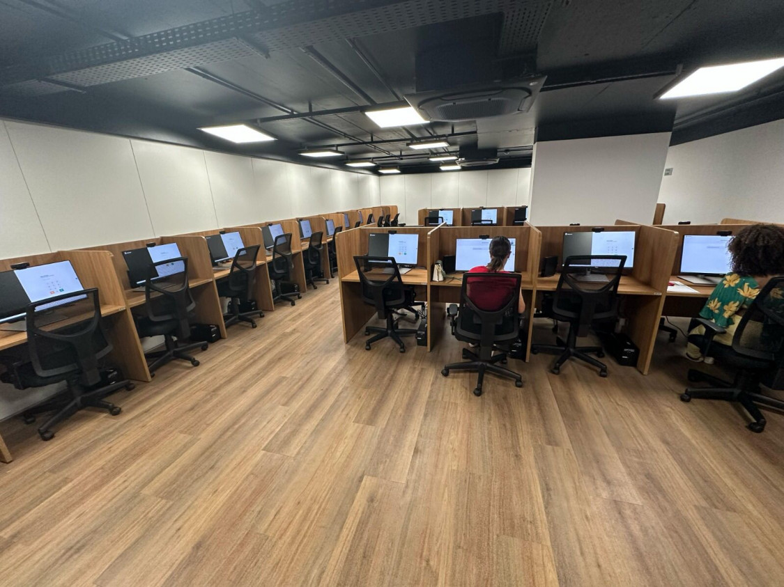 Macaque in the trees