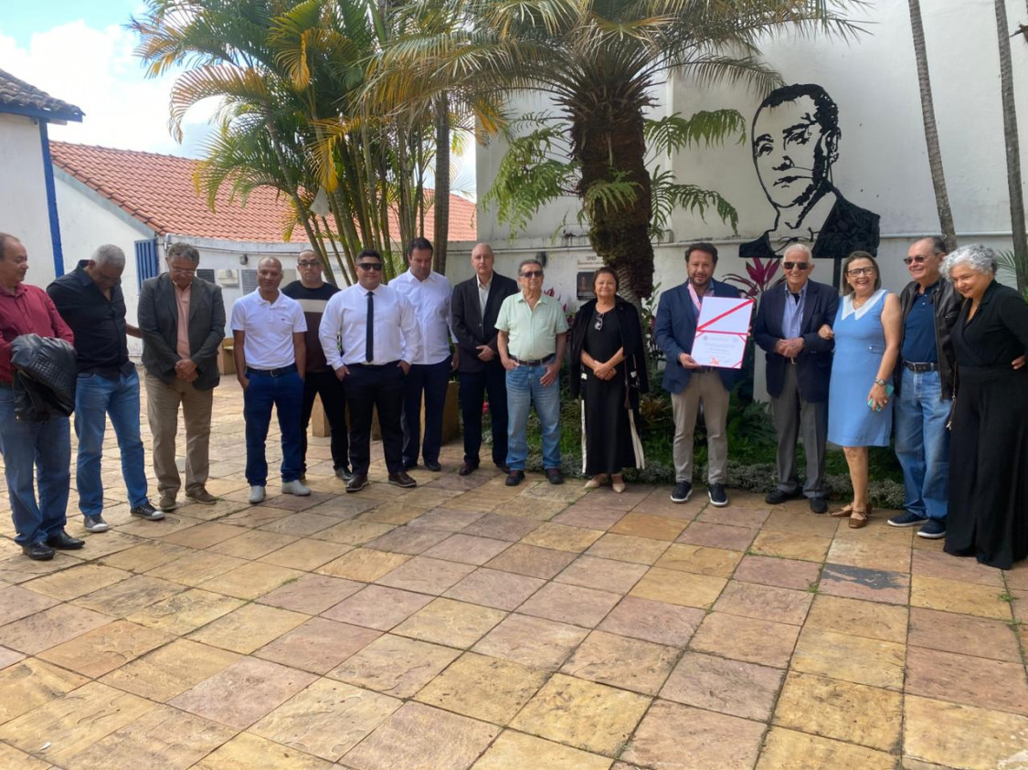 Macaque in the trees