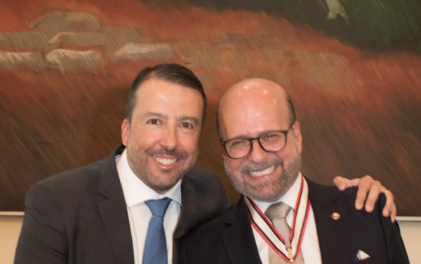 Macaque in the trees