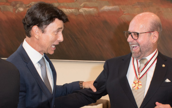 Macaque in the trees