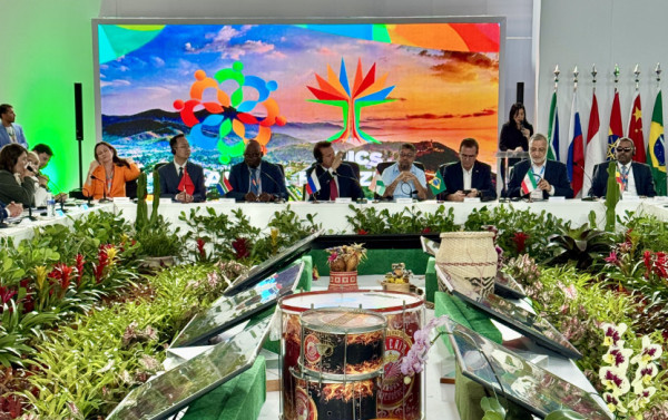 Macaque in the trees