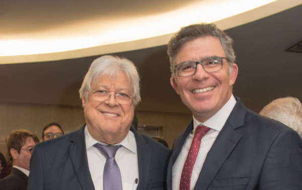 Macaque in the trees