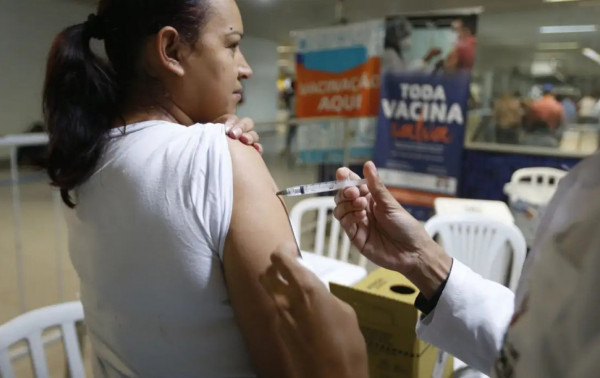 Macaque in the trees