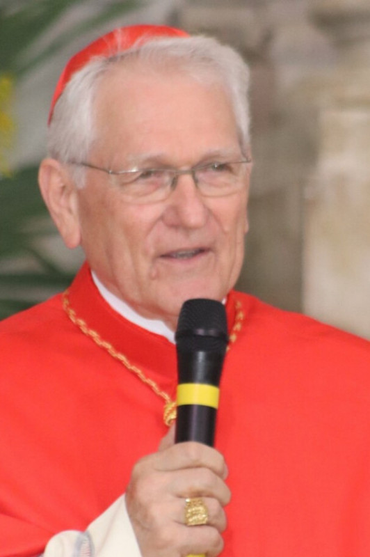 Macaque in the trees