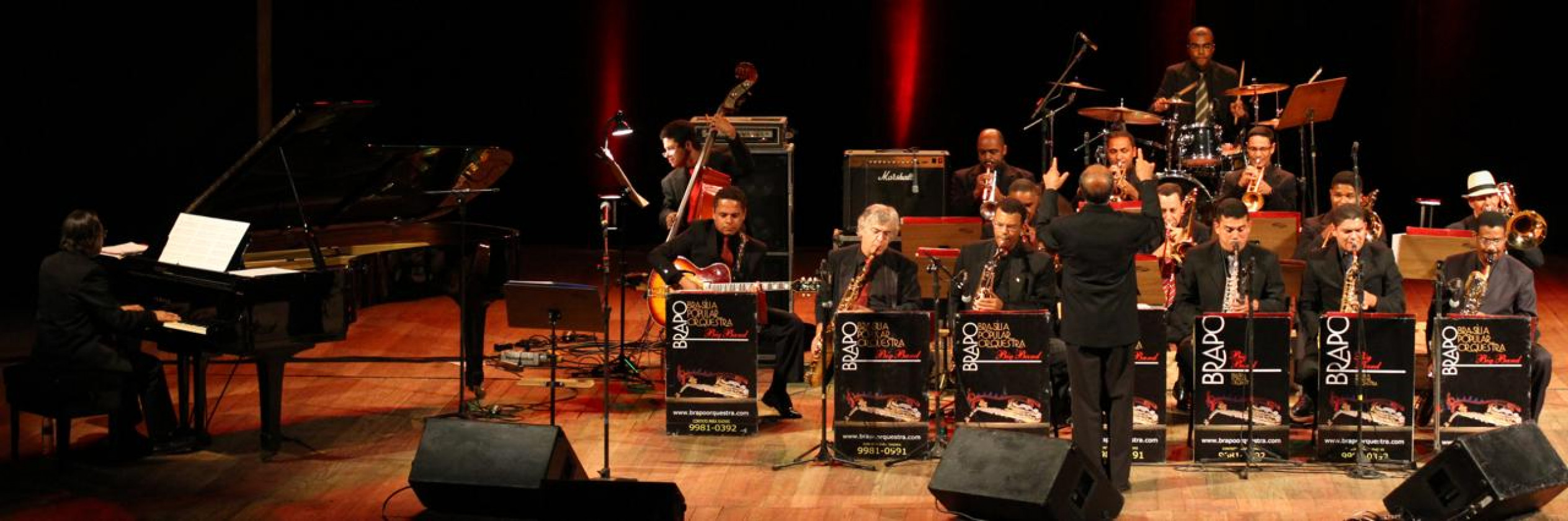 Macaque in the trees