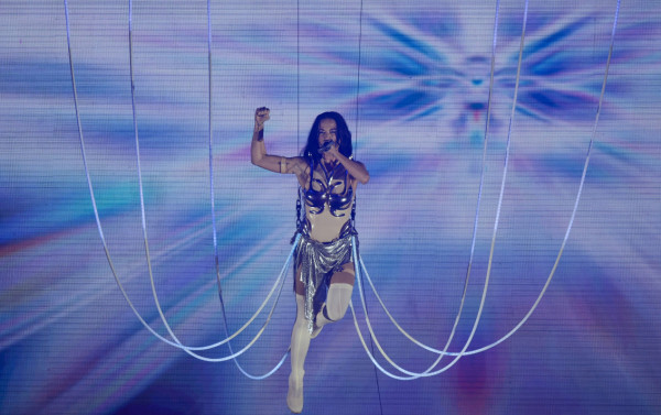 Macaque in the trees