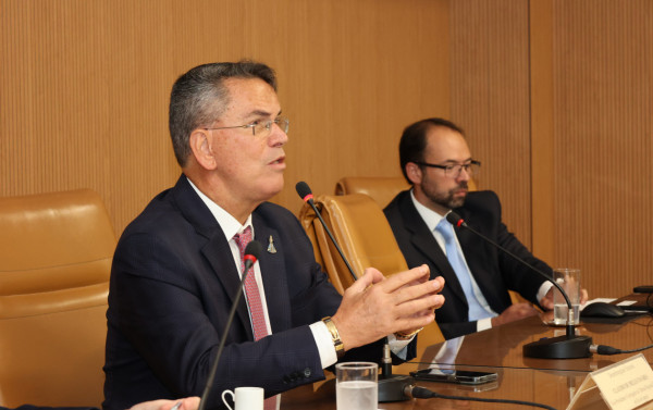 Macaque in the trees