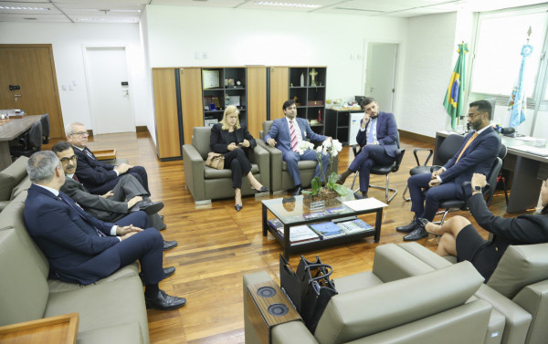 Macaque in the trees