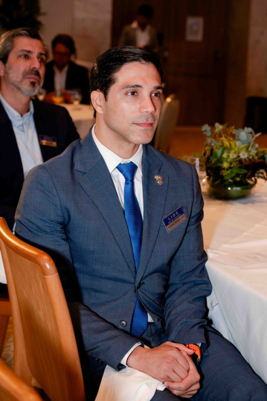 Macaque in the trees