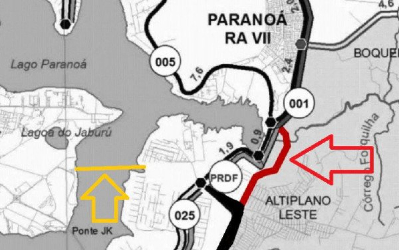 Macaque in the trees