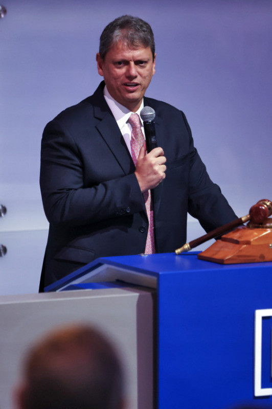 Macaque in the trees