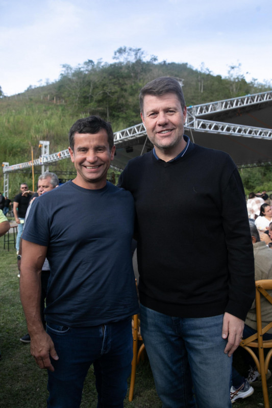 Macaque in the trees