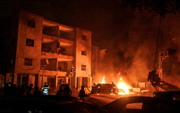 Macaque in the trees