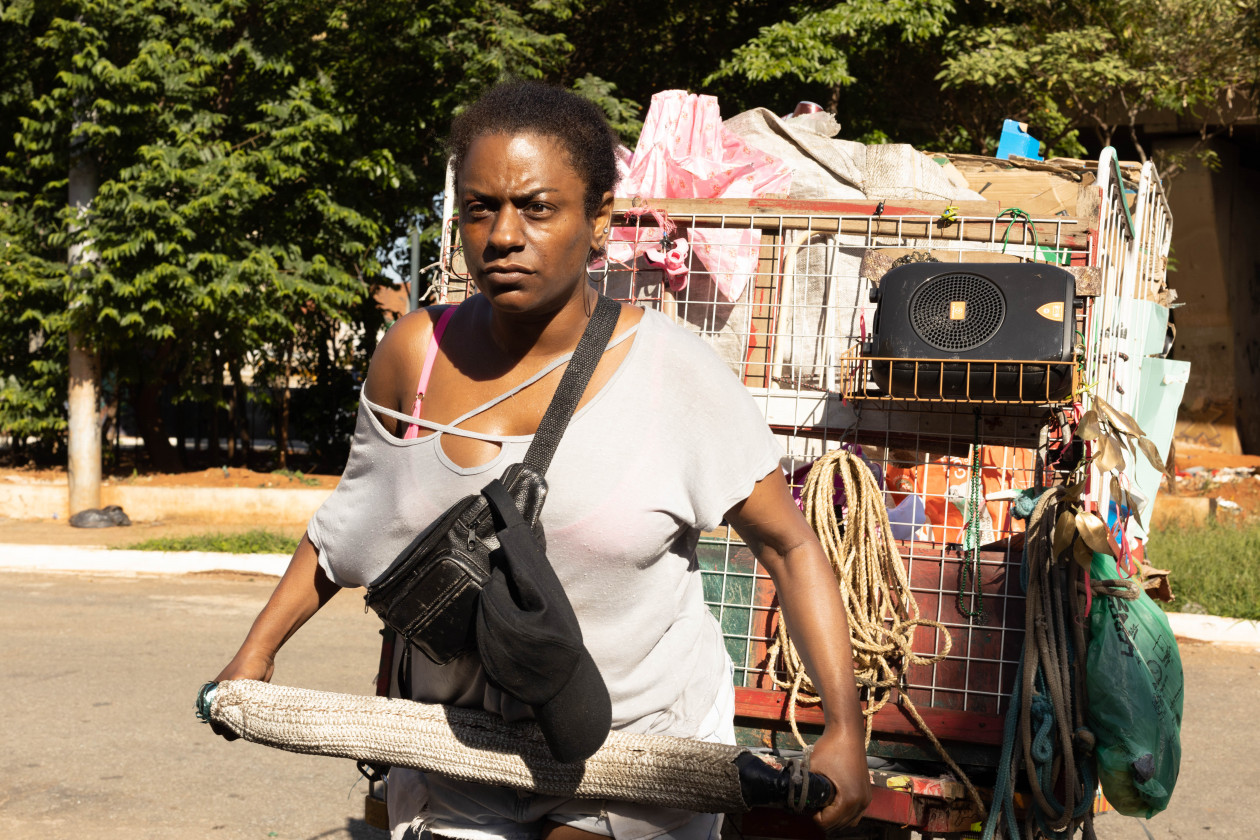 Macaque in the trees