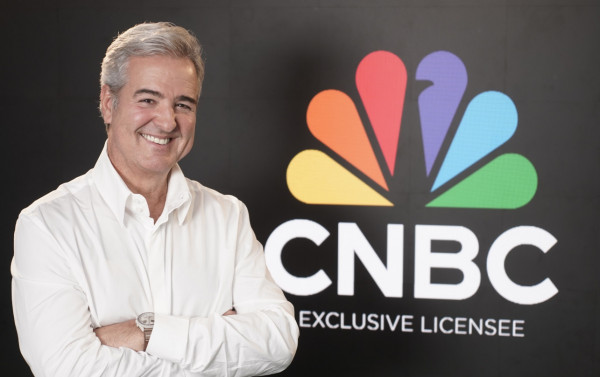 Macaque in the trees