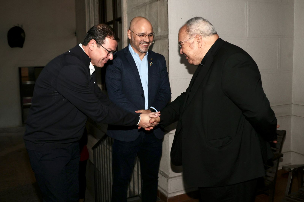 Macaque in the trees