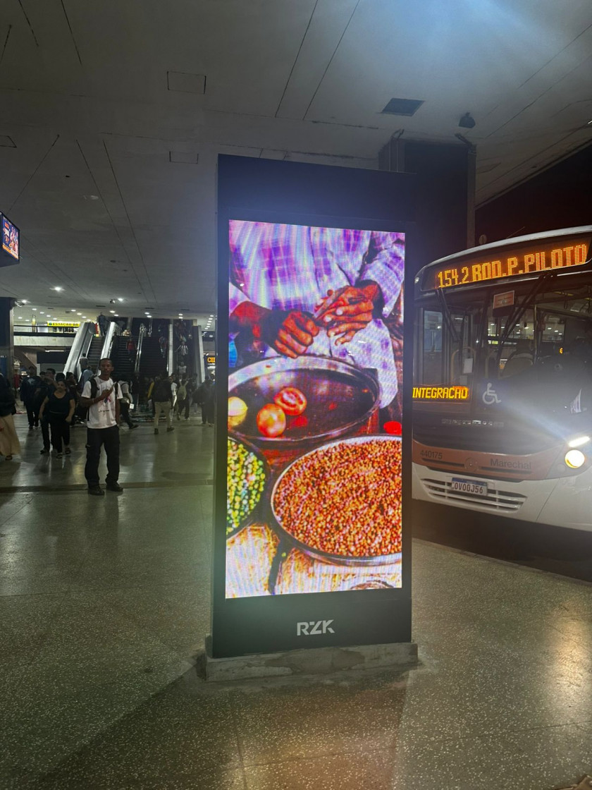 Macaque in the trees