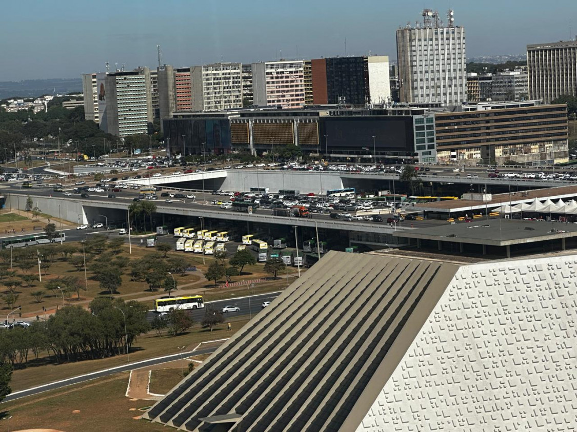 Macaque in the trees