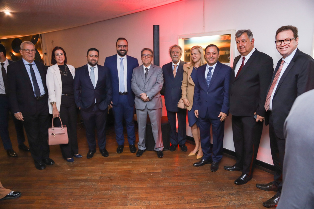 Macaque in the trees