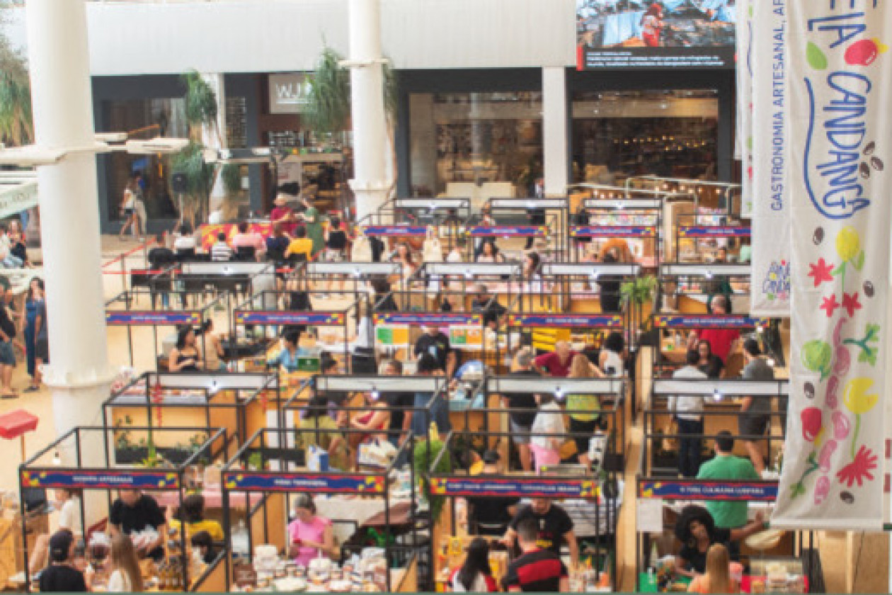 Macaque in the trees