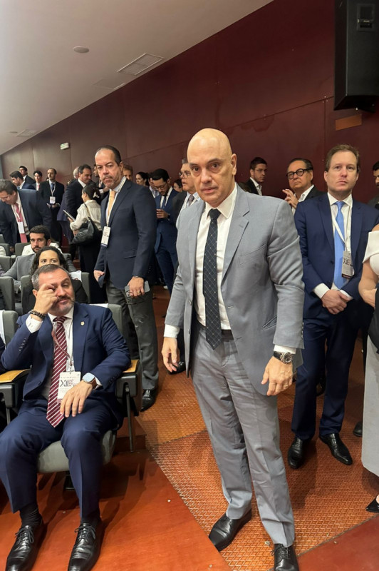 Macaque in the trees