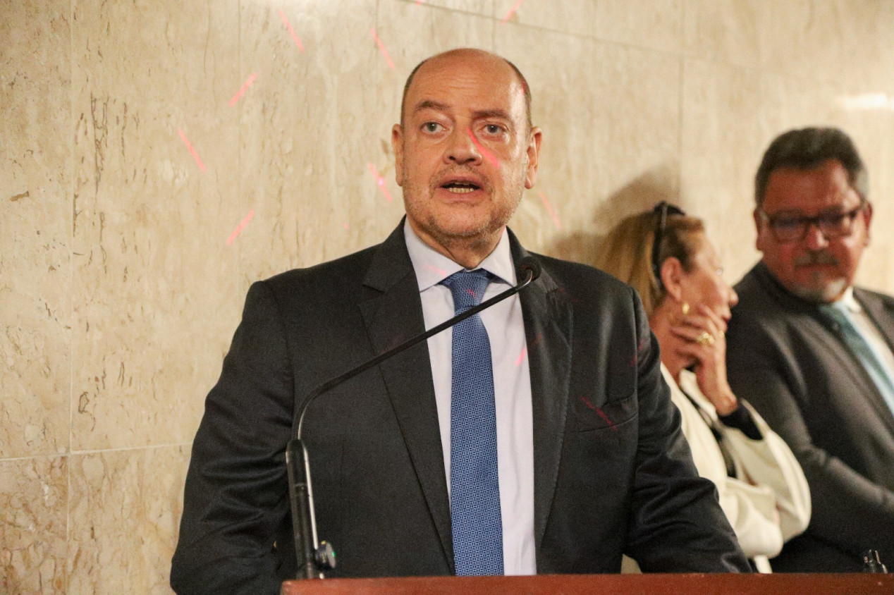 Macaque in the trees