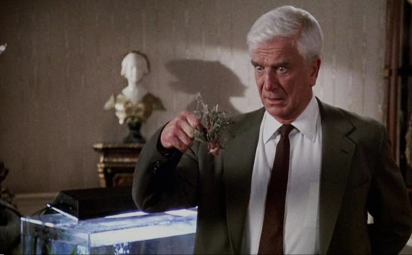 Macaque in the trees