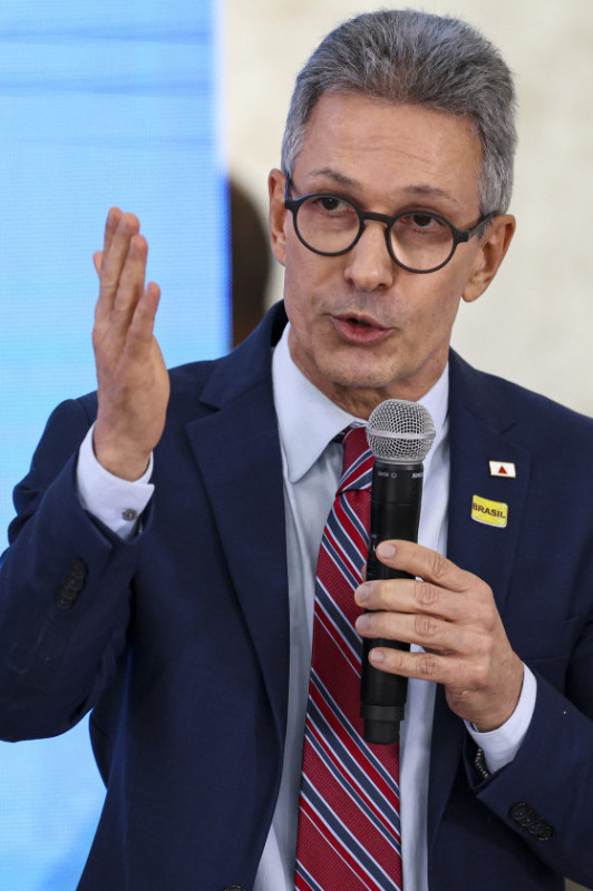 Macaque in the trees