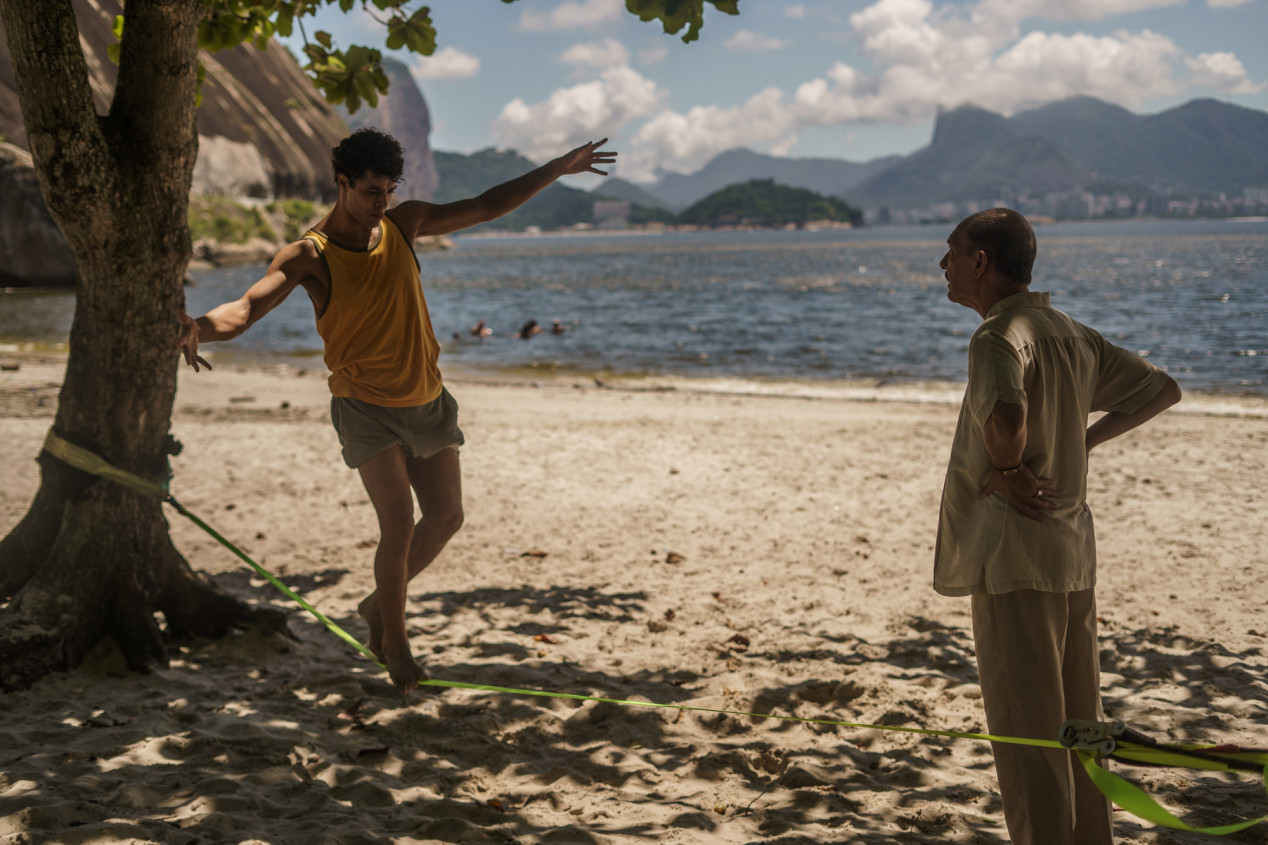 Macaque in the trees