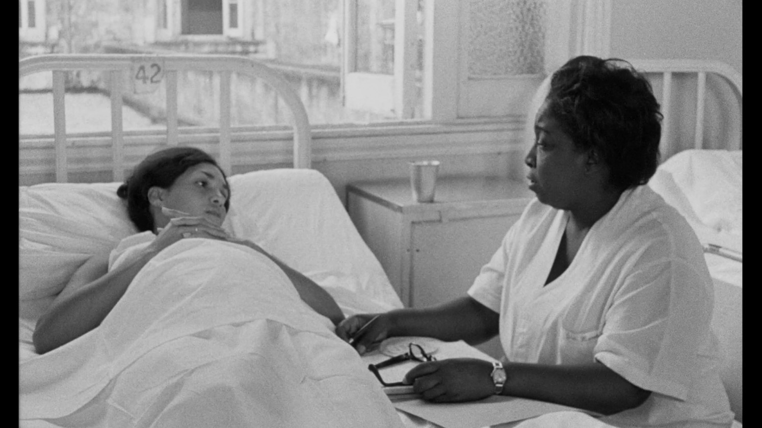 Macaque in the trees