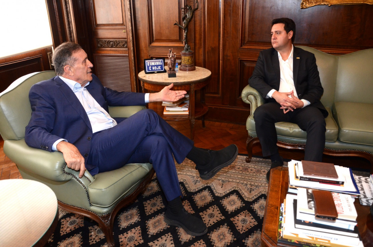 Macaque in the trees