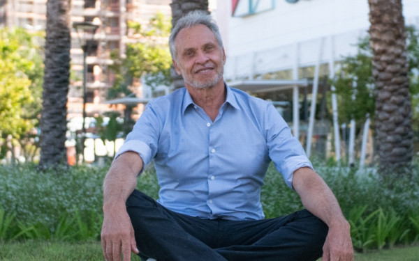 Macaque in the trees