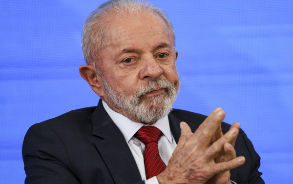 Macaque in the trees