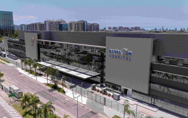 Macaque in the trees