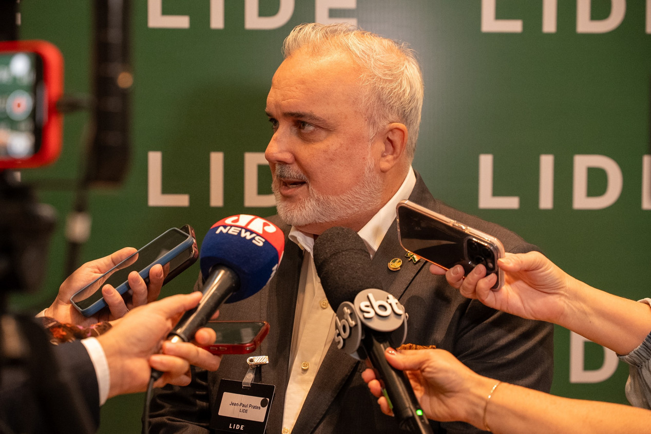 Macaque in the trees