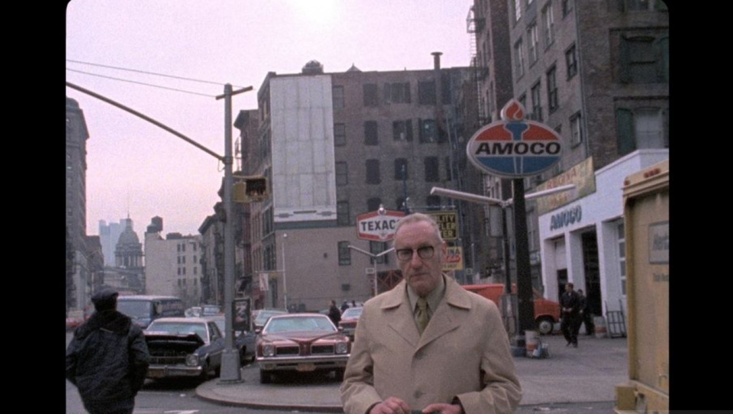 Macaque in the trees