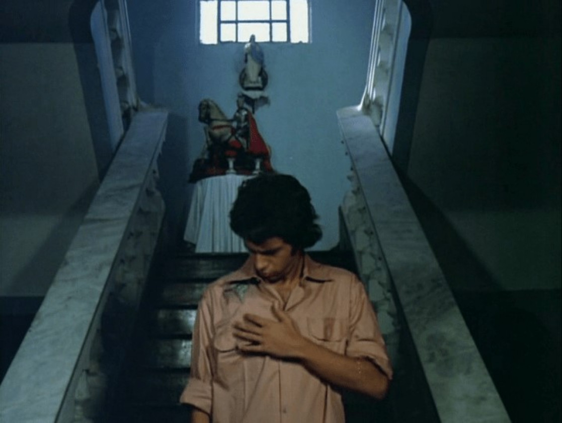 Macaque in the trees