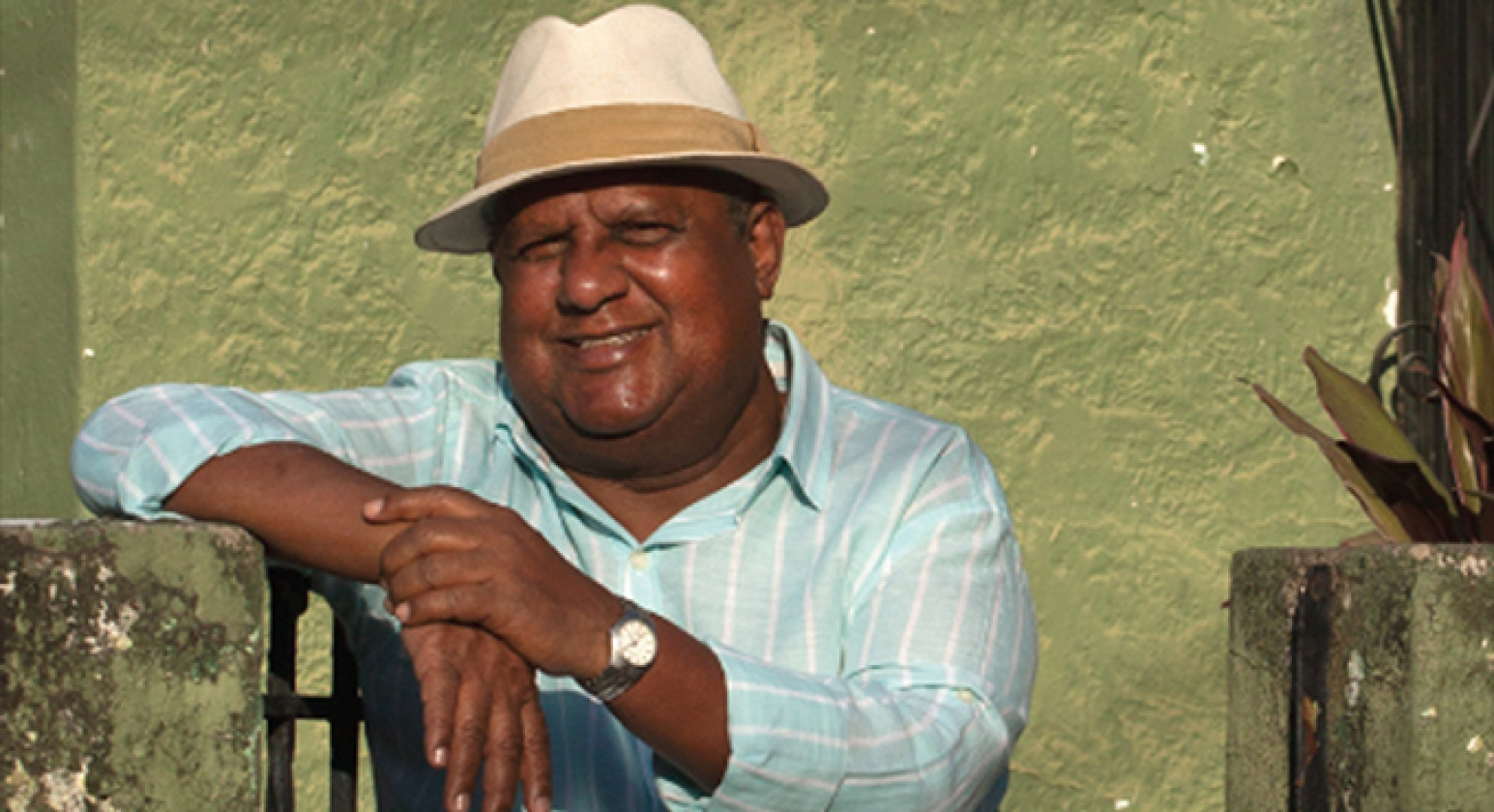 Macaque in the trees