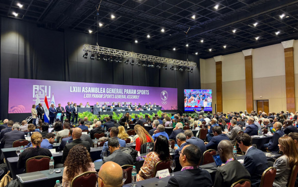 Macaque in the trees