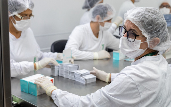 Macaque in the trees