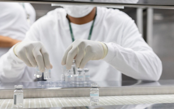 Macaque in the trees