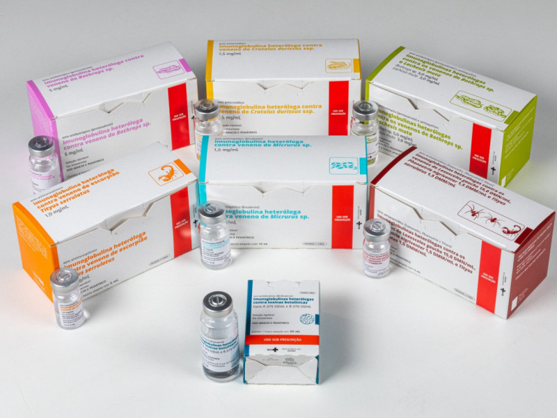 Macaque in the trees